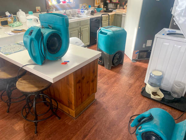 Best Flooded house restoration  in Pawcatuck, CT